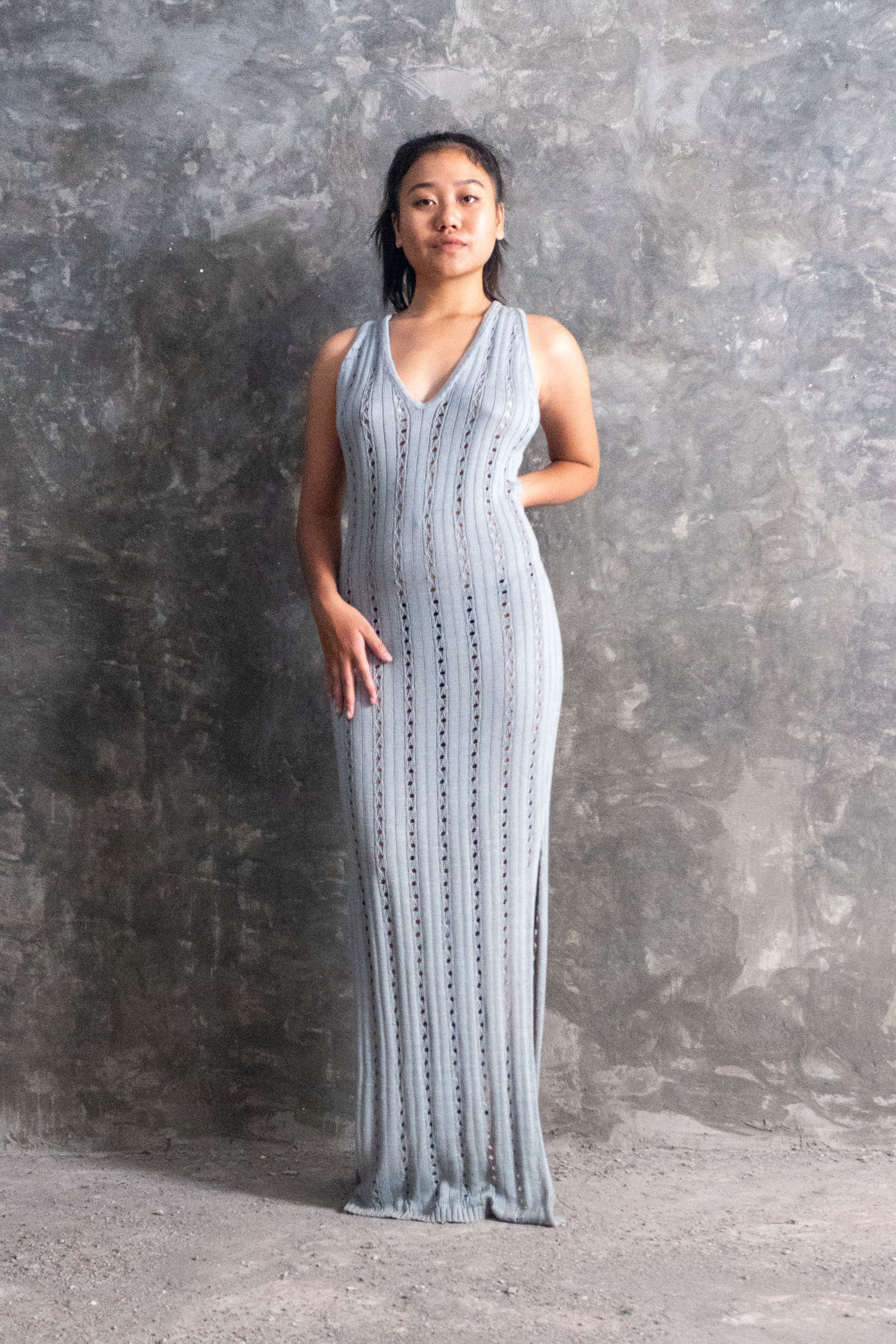 Allegra Dress in Silver