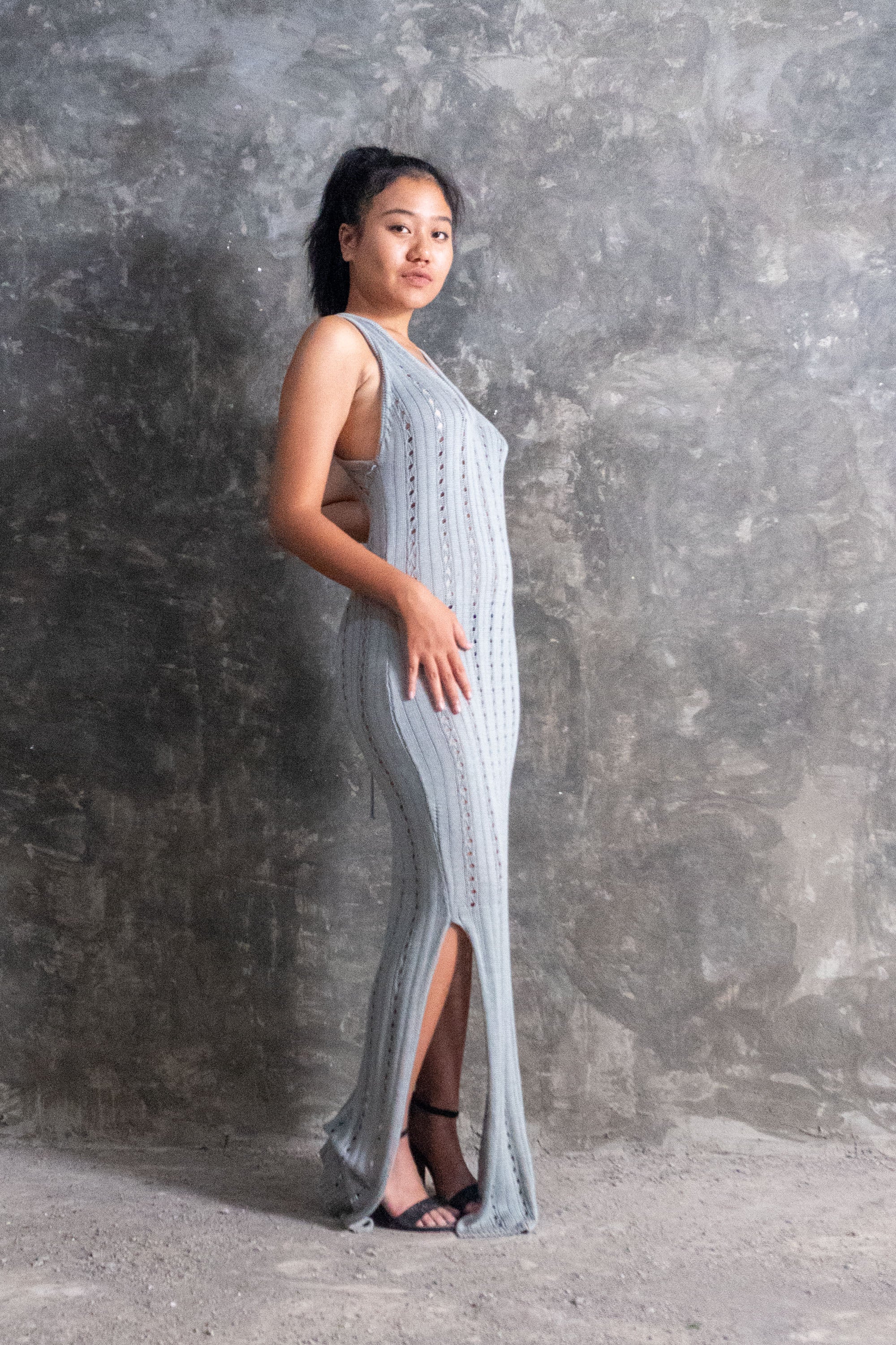 Allegra Dress in Silver